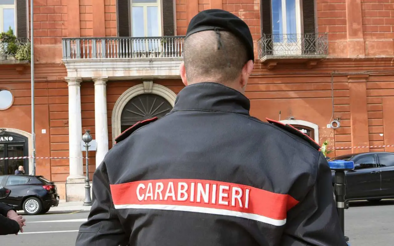 Immagine selezionata